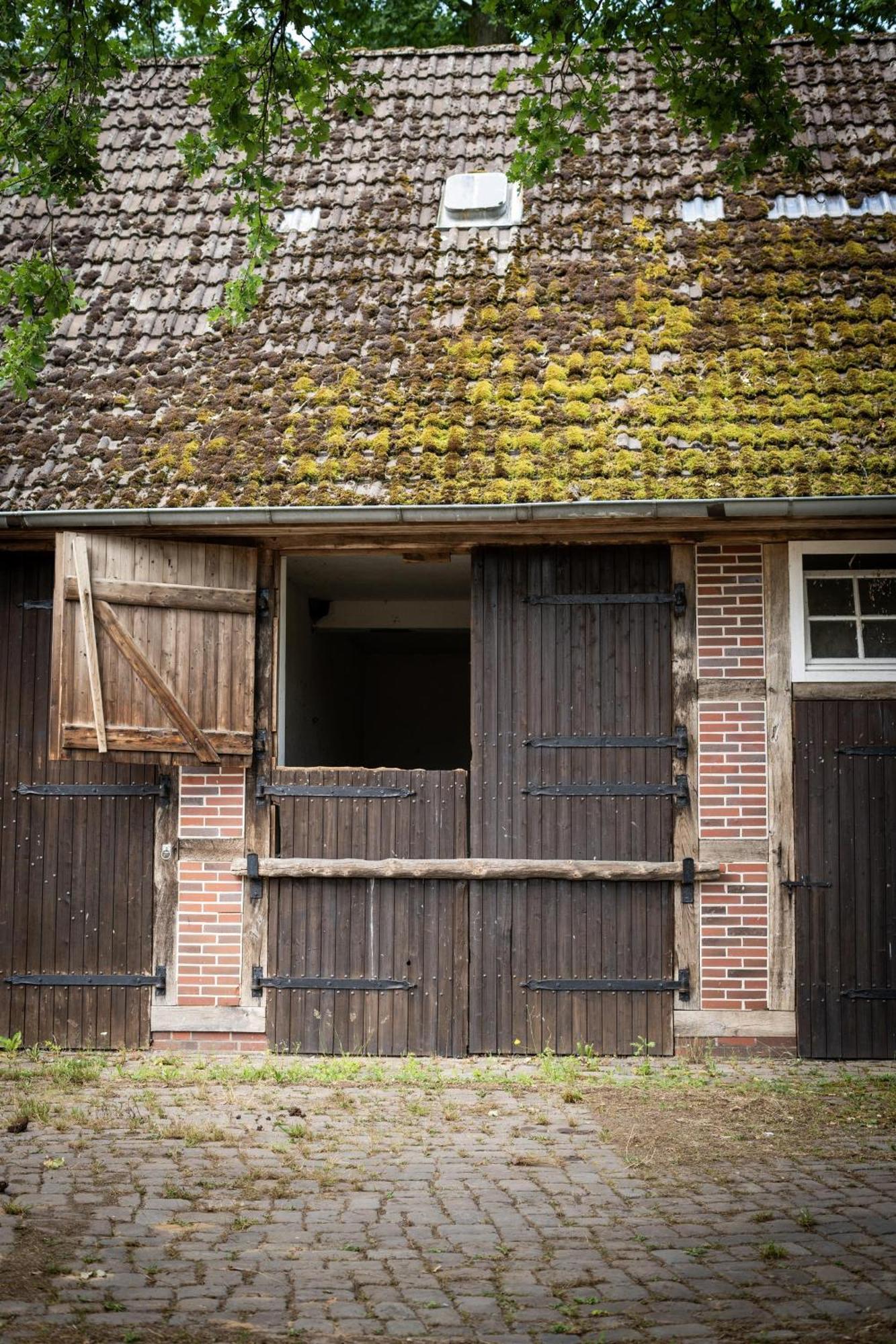 Heidehof Oberhaverbeck Villa Bispingen Ngoại thất bức ảnh